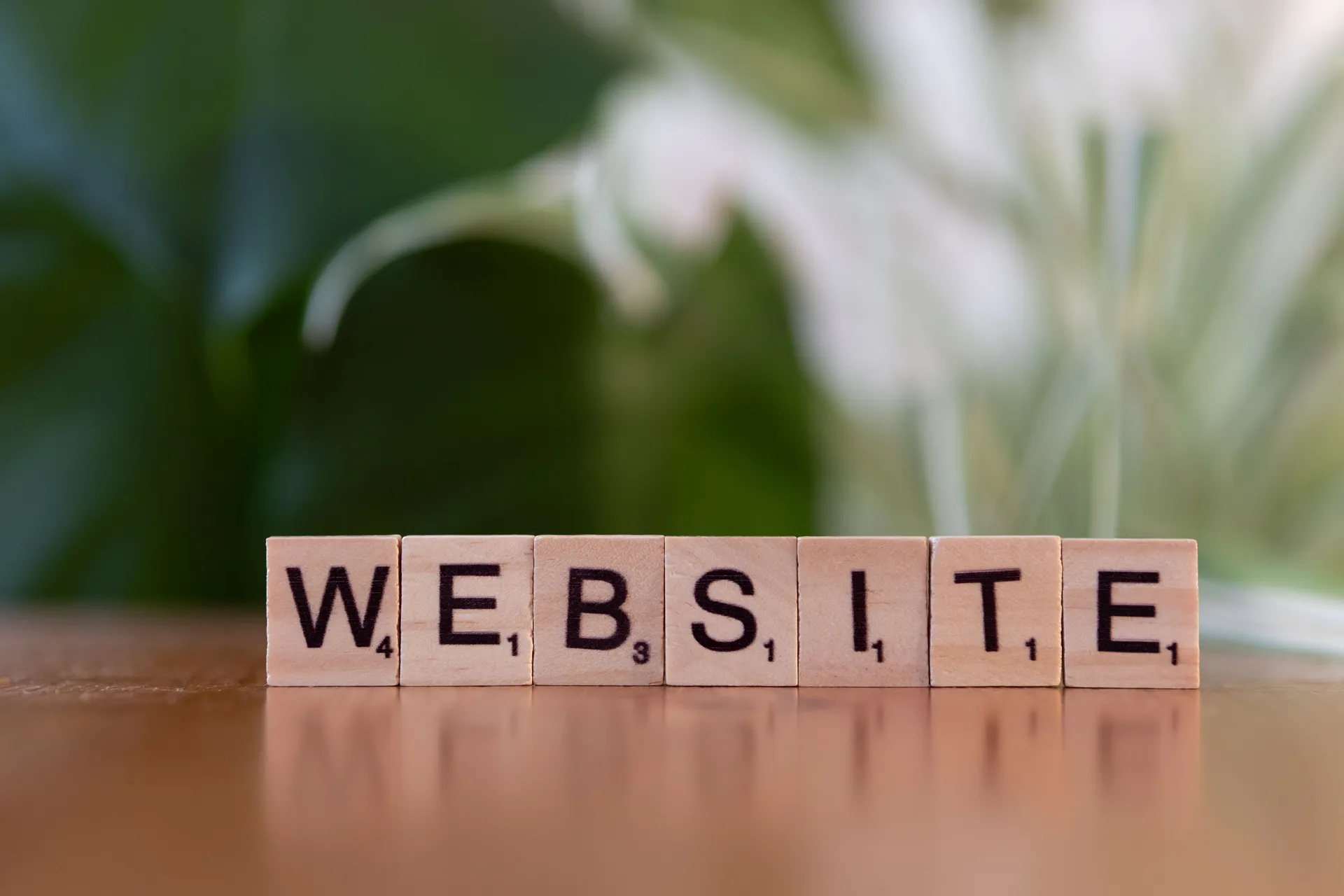 Berapa Biaya Bikin Website Bisnis di Bali? Segini Rincian Lengkapnya di 2026